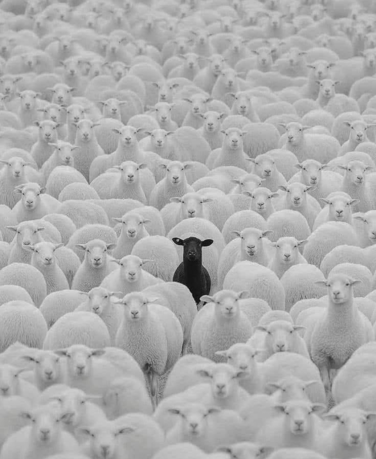 Why Hiring Smarter People Forces You to Be a Better Leader